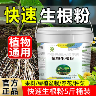 Intelligent green rapid rooting powder universal plant nutrient solution cuttings and transplants powerful rooting agent flower fertilizer rapid rooting powder 5jin jin equal to 0.5kg barrel enhanced
