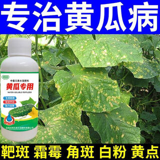 Wauban brothers cucumber special medicine cucumber complete treatment target botrytis botrytis angular spot downy mildew anthrax cucumber microbial inoculant 2 bottles can be dissolved 60jin jin is equal to 0.5kg of water