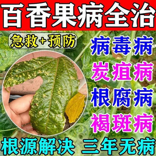 Passion fruit special medicine kills all stubborn diseases of passion fruit, stem rot, root rot, disease virus, full-tube foliar fertilizer, buy three for five