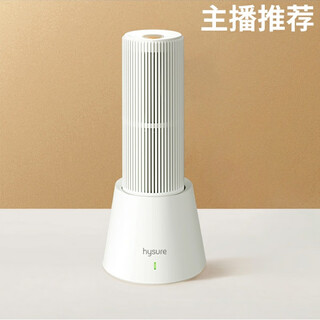 Dehumidifier dehumidification strip wardrobe shoe cabinet storage box electronic moisture absorption card charging recovery cycle wardrobe dehumidifier set with base