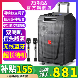 Malata square dance audio outdoor karaoke trolley mobile portable speaker bluetooth singing performance high volume playground meeting high power wireless microphone subwoofer with wireless microphone m+9047 12-inch + dual microphone
