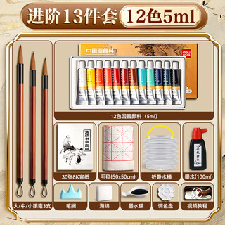 Deli (deli) chinese painting paint beginner set primary school students' brushes children's adult chinese painting paint full set 24 colors professional intermediate and advanced ink painting tools and supplies for art students 12 colors advanced recommended set - entry-level 13-piece set