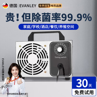 Evanley german ozone generator sterilizer household air purifier industrial food factory car sterilization and formaldehyde removal 20g/h (120 square meters)