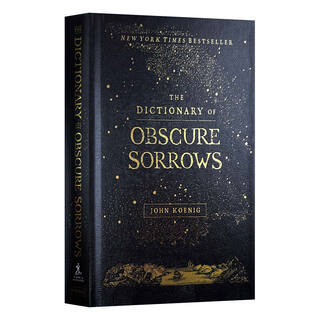Dictionary of obscure sorrows hardcover english original the dictionary of obscure sorrows english version imported english original book 9781501153648