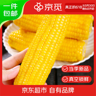 Jingmi northeastern yellow waxy corn 1.8jin jin is equal to 0.5kg (3-4 ears) northeastern sweet sticky corn on the cob breakfast corn directly from the source