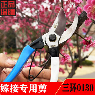 Qihong three-ring grafting special scissors liaoning xiongyue pruning shears