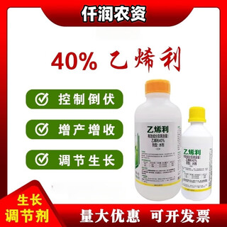 Ethephon ripening agent banana tomato persimmon rice cotton corn pineapple rubber tree growth regulator 100g