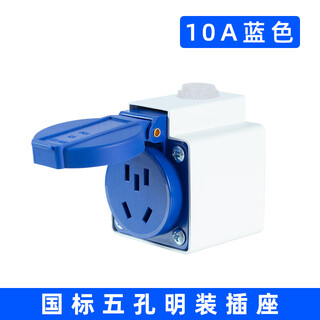 Five-hole two-three plug waterproof distribution box industrial socket outdoor covered and rain-proof 5-hole 10a power socket box 220v conventional 5-hole surface-mounted socket (blue 1)