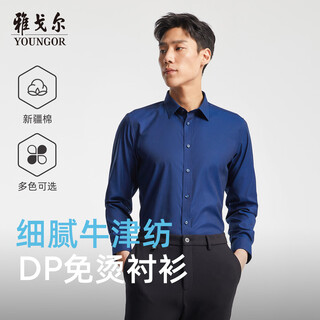 Youngor dp no-iron long-sleeved shirt spring and summer new business casual work pure cotton oxford shirt 170048f
