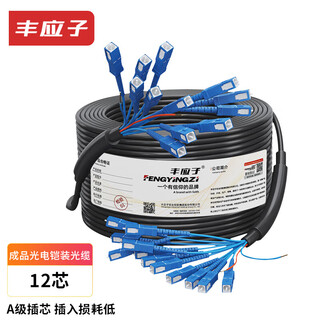 Fengyingzi outdoor armored optical fiber with power integrated line optoelectronic composite cable finished line 12-core single-mode fiber jumper sc500 meters fyz-gyxtw-12b1-2*1.0