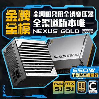 金河田（Golden field）Nexus Gold 650W 黑 ATX3.1台式电脑电源全模组 金牌双认证 /12V-2*6/日系主电容/稳压5060TI显卡