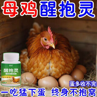 Xingbaoling hens wake up non-roosting chickens, ducks, geese and poultry to nest and love their nests. feed additives for hatching eggs. special bottle for hens to wake up and cuddle and fall in love with their nests.