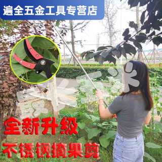 Ye yu multifunctional telescopic high-altitude fruit picking scissors, fruit picking artifact for picking loquats, lychees, longans, persimmons, high-branch fruit tree scissors. main picture. lightweight stainless steel pipe 1 meter for both picking and shearing purposes.