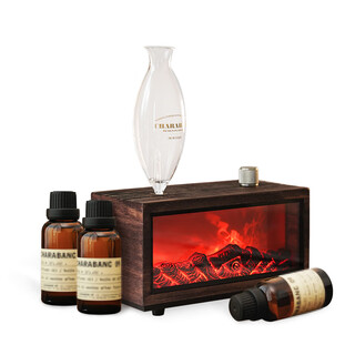 He jiagong fireplace aromatherapy machine cold aromatherapy device solid wood graduation gift new home warming gift for boys c deluxe edition no. 16 oriental jasmine green + no. 35 jiabo