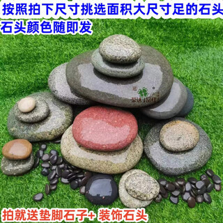 Turtle stone turtle terrace high water level climbing platform fish tank landscaping decoration stone colorful purchasing agent stone terrace 15-17 cm 1 + stepping stone