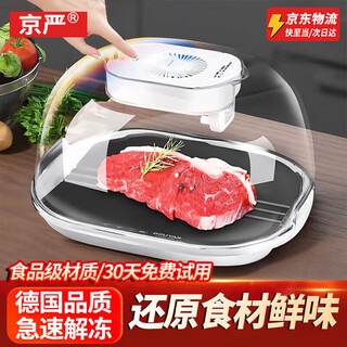 Jingyan thawing machine household quick thawing plate heat conduction plate thawing meat and seafood automatic thawing machine food thawing artifact fresh-keeping and thawing丨atomization fresh-locking high-grade gray