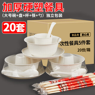 Shuang yu disposable tableware five-piece set * 20 people large bowl chopsticks plate cup spoon outdoor camping picnic set