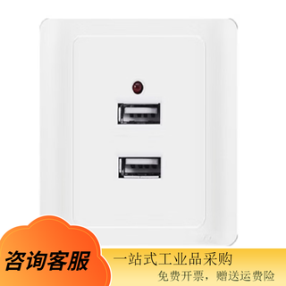 Usb socket panel specifications two-position usb