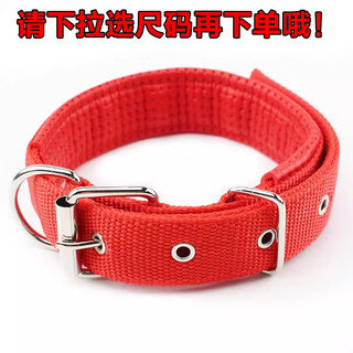 Hui chong er 2m 3m reflective extended dog collar leash dog rope dog walking teddy golden retriever pet large, medium and small dogs single collar red please drop down to select size l size (approximately 20-40jin jin is equal to 0.5kg)