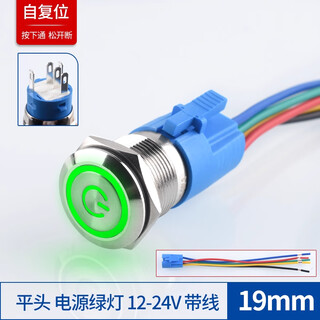 Zave metal button switch 19mm flat head power green light 12-24v with wire self-reset