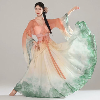 Timochi chinese style classical dance performance costumes, fairy-like and elegant dance costumes for women, large-sleeved shirts, gauze clothes, gradually changing to ancient styles, large skirts, orange tea flower fairy suits (large-sleeved shirts + girdle + large skirts with lining), hanging dai + l