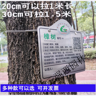 不锈钢304拉伸弹簧链条挂绑吊植物中草药树牌弹簧 不锈钢弹簧（10条起发） 30x0.6cm