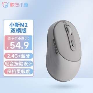 联想（Lenovo）小新M2双模无线蓝牙鼠标 轻音便携 类肤手感 舒适办公鼠标 电脑笔记本台式机一体机平板鼠标 灰