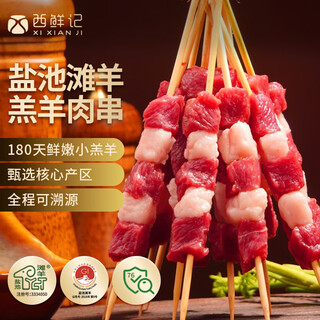 Xixianji ningxia yanchitan lamb raw lamb skewers 240g with seasoning 180 days lamb bbq camping ingredients