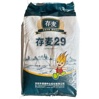 Семена пшеницы guoxin cunmai № 29, полуозимые, короткостебельные, высокая урожайность, стабильная урожайность, устойчивость к болезням и устойчивости к полеганию, семена полевой пшеницы (оригинал 24jin jin равен 0,5 кг) cunmai 29