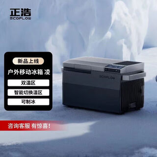 Factory direct supply outdoor power supply car refrigerator 38 liters large capacity refrigerated storage box car home dual-purpose room mobile refrigerator wheel lever