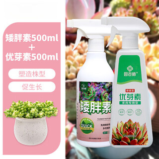 Ouoety succulent dwarf nutrient solution is specially used to prevent and control leggy growth, increase color and growth, promote root growth, chlormequat, dilution-free fertilizer, plastic growth promotion, succulent dwarf hormone + eubud control
