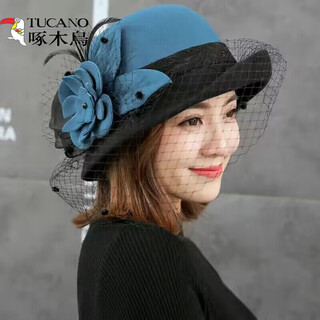 Woodpecker (tucano) mesh hat for women, british hepburn style curly top hat for women, autumn and winter socialite fashion french basin hat, retro flower felt hat, half roll mesh - light blue