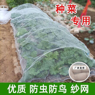 Sunshade net, courtyard insect-proof net, special net for growing vegetables, 80 mesh insect-proof cover, encrypted gauze mesh, vegetable seedlings, vegetable field orchard net, vegetable planting insect-proof net, 1.2m width, density 80 mesh, 5m length, plus 0.5m to get 5.5m