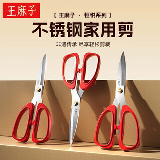 王麻子剪刀 家用裁缝剪子办公剪不锈钢食品级厨房剪刀 大号195mm