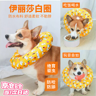 Suoluomen high-end elizabethan collar dog headgear, anti-biting, anti-licking, soft collar, cat corgi sterilization and insect repellent collar, xl size, recommended 12-25jin jin is equal to 0.5kg
