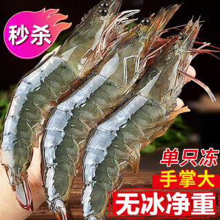 Excellent fresh shrimp qingdao prawn fresh frozen base shrimp shrimp seafood water produced fresh white shrimp green prawn sea shrimp prawn 3jin jin is equal to 0.5kg (net weight) air frozen prawn 15-19cm extra large 30/40specifications