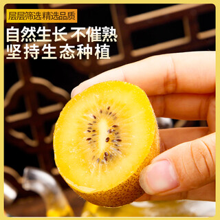 Faner manor xixia kiwi yellow heart kiwi kiwi fruit golden peach mud kiwi fresh fruit fresh large fruit delicious taste 12 medium fruits 70-90g
