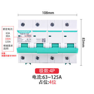 Tgb1N-63 d型空气开关电机电源断路器1P 2P 3P 4P TGB1N-125D型4P 125A