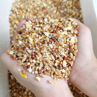 Chicken feed wholesale, sorghum, wheat and corn minced mixed to feed chickens, corn crushed dregs, corn grits, chickens, ducks, pigeons, 3 jin jin is equal to 0.5 kg (sorghum + wheat + corn minced mixed)