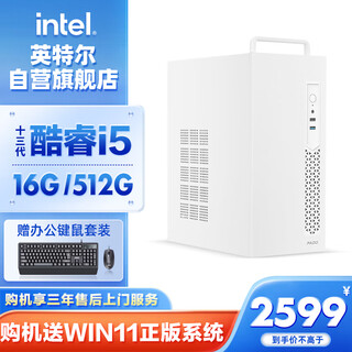 Intel lingxi 510 desktop computer (i5 13400 16g 512g ssd business keyboard and mouse) wifi6 commercial office machine mini single host