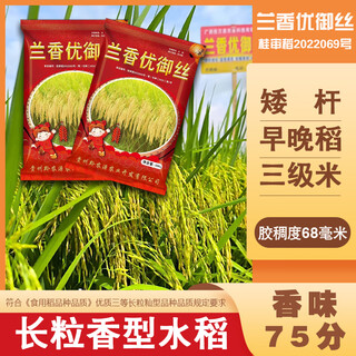 Dao yufeng riz agricole à grains longs emballage d'origine graines de riz hybrides agricoles lanxiangyouyusi riz parfumé à grains longs aromatisé graines de riz lanxiangyouyusi 5 sacs 500 g/sac