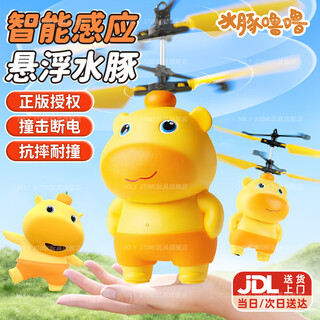 Holy STONE水豚噜噜感应飞行器悬浮飞机直升飞机会飞的玩具女男孩3-6-14+岁 水豚噜噜飞行器【充电+手势感应+炫光】 正版授权+抗摔耐撞+撞击断电