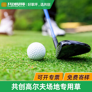 Co-create lawn, golf green grass, indoor and outdoor golf artificial turf, fitness and environmentally friendly gate court, curved turf simulation, golf model a