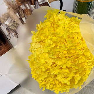 Internet celebrity hydrangea immortal flower multi-head diy bouquet material birthday gift chinese valentine's day wedding home decoration lemon yellow 1 bouquet (flower head diameter 20-24cm)