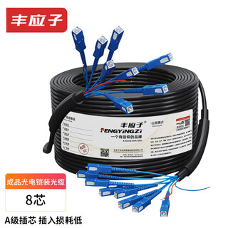 Fengyingzi single-mode armored optical cable with power integrated line finished product 8-core optical fiber sc+2-core 1.5 power cord 500 meters fyz-gyxtw-8b1-2*1.5