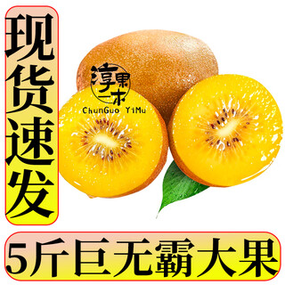 Chun guo yimu yellow heart kiwi fruit kiwi fruit golden fruit kiwi fruit fresh fruit fresh fruit 5 jin jin equals 0.5 kg premium big mac fruit single fruit 100g+