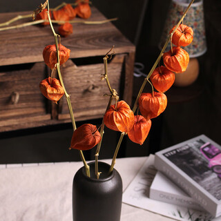 Small pumpkin dried branches, sour berries, dried flowers, chinese red festive flower arrangements, dried fruits, real flowers, wedding flower materials, soft decoration, 23 branches of sour berries (10 flower heads)
