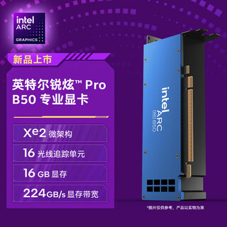 英特尔（Intel）锐炫 Pro B50 16GB 图形设计推理计算电脑独立专业显卡