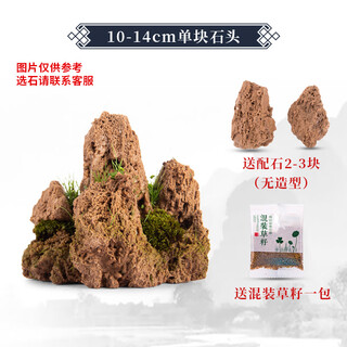 Absorbent stone natural stone bonsai fish tank courtyard large fish pond landscaping absorbent stone raw stone landscaping decoration height 10-14cm absorbent stone does not include pots and grass seeds included