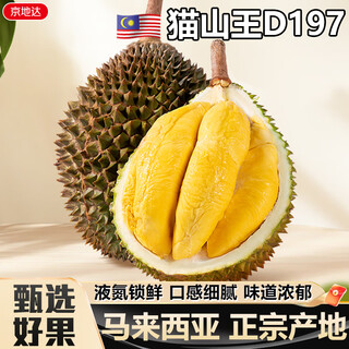 Jingdida malaysian musang king durian, net weight 4.5jin jin equals 0.5kg, single fruit 4.5jin jin equals 0.5kg, liquid nitrogen frozen source direct delivery